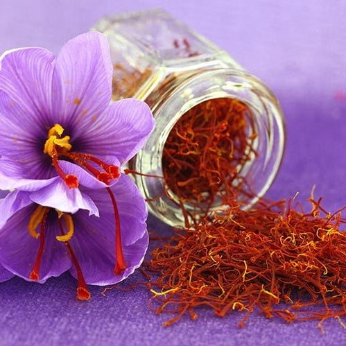 saffron crocus