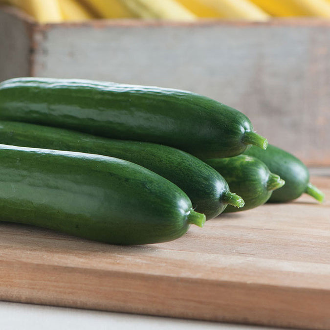 cucumber diva