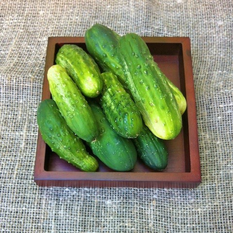 cucumber national pickling