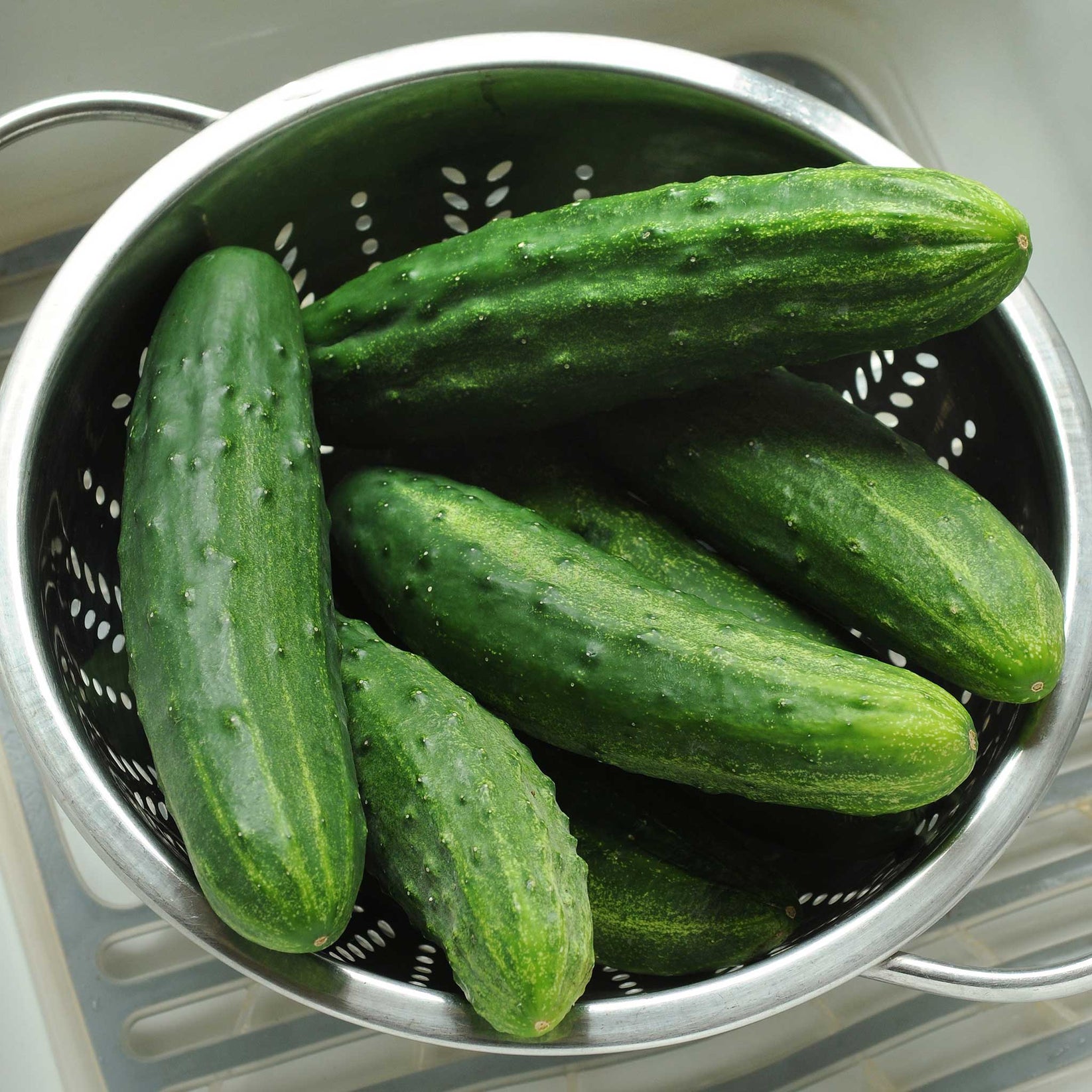 Cucumber Seeds Patio Snacker Vegetable Seeds in Packets & Bulk