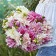 Dahlia Tubers (Dinnerplate) - Café Au Lait Mix