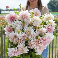 A person holding a bouquet of Cafe Au Lait dahlia flowers in a garden setting.