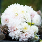 dahlia cafe con leche mix