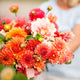 Dahlia Tubers (Ball & Dinnerplate) - Orange Crush Mix
