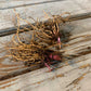 echinacea roots