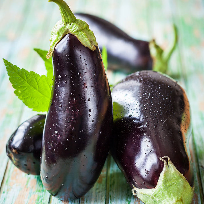 Eggplant Seeds Black Beauty Vegetable Seeds in Packets & Bulk Eden Brothers