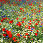 field of dreams flower seed mix