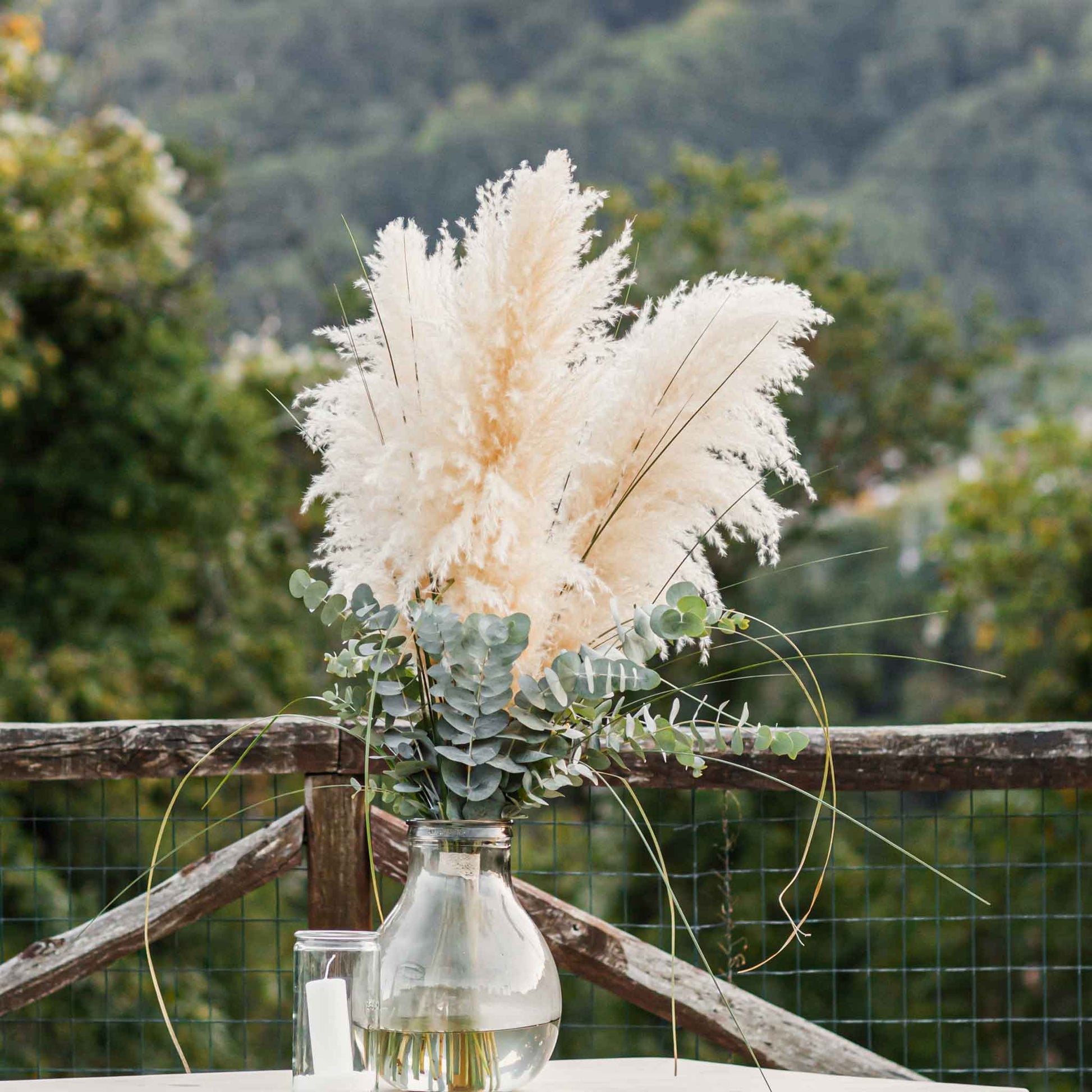 Koyal Wholesale Real Dried Pampas Grass Decor Plumes, 28-32 Inches, White Color, Bulk of 96 Pcs Ornamental Grass