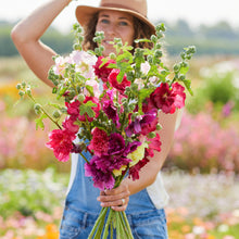 Queeny mix hollyhock vibrant pink ruffled petals with yellow centers.
