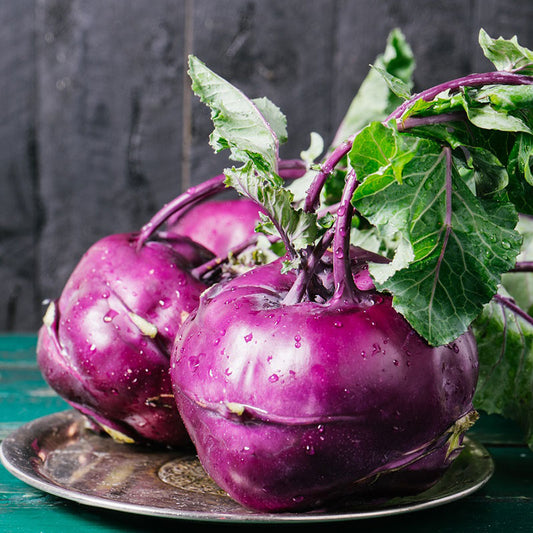 organic kohlrabi purple vienna