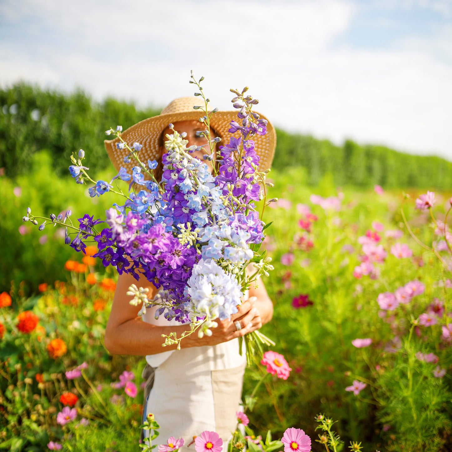 A person holding a bouquet of rocket larkspur flowers in a garden.