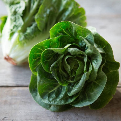 organic little gem lettuce 