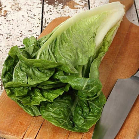 organic paris island cos lettuce 
