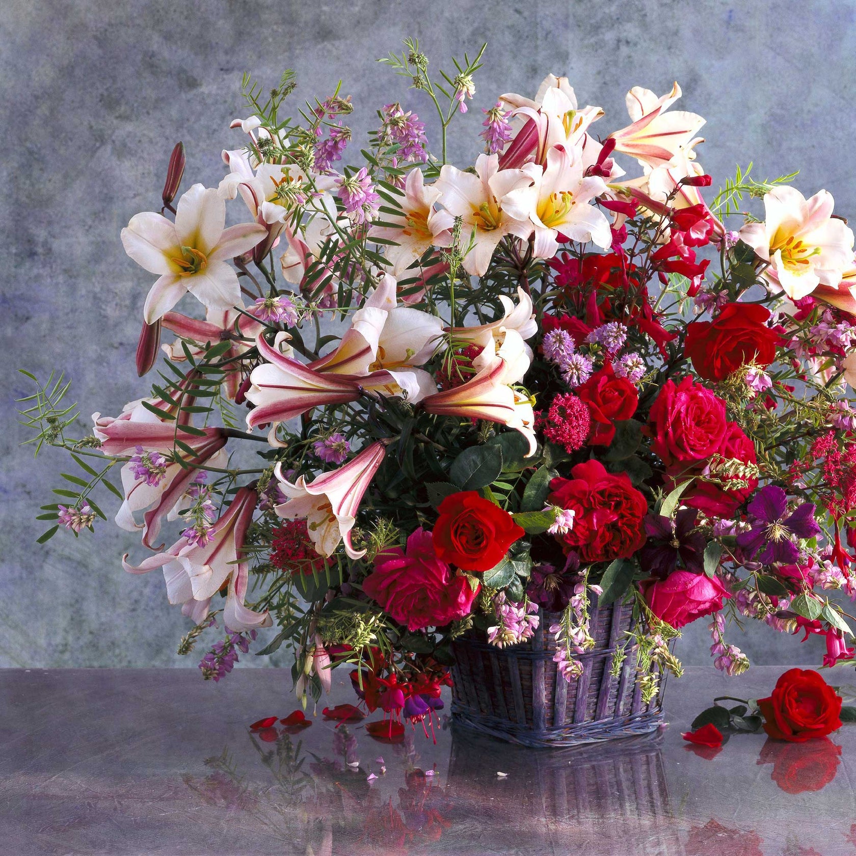 Asiatic Lily Bulbs Regale Flower Bulbs Eden Brothers