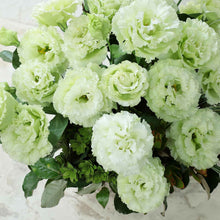 Lisianthus voyage green small round pelleted seeds on a light-colored surface.