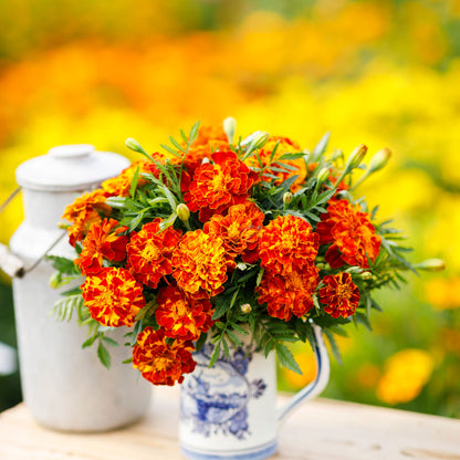 Ceramic vase of orange and yellow sparky mix marigold flowers with green leaves.