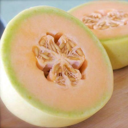 melon honeydew orange