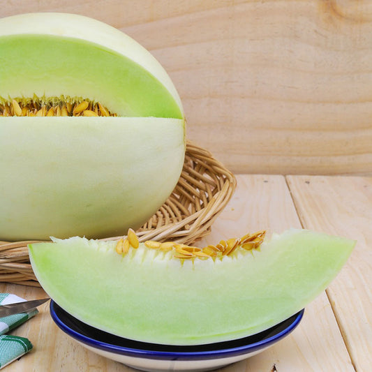 organic honeydew green melon 