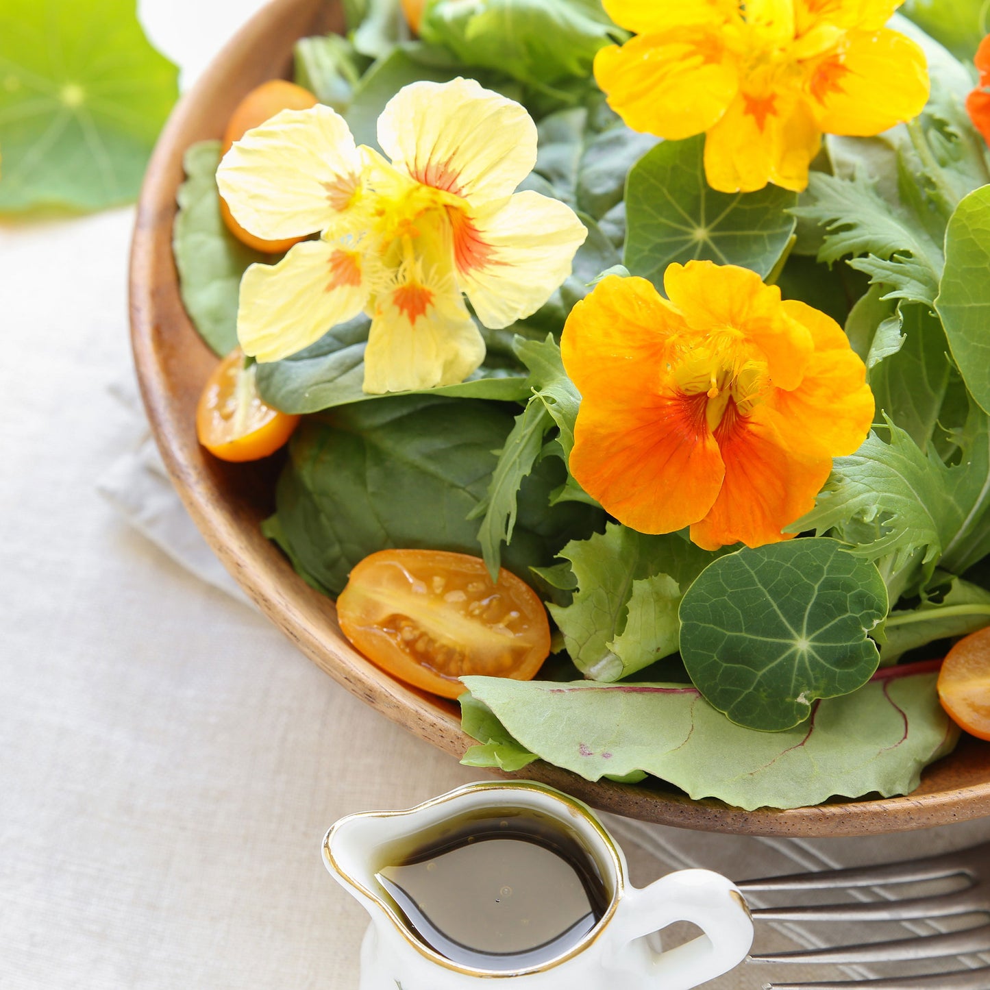 salmon baby nasturtium 