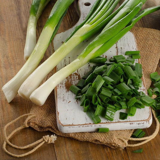 organic tokyo long onion 