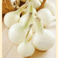 onion southport white globe