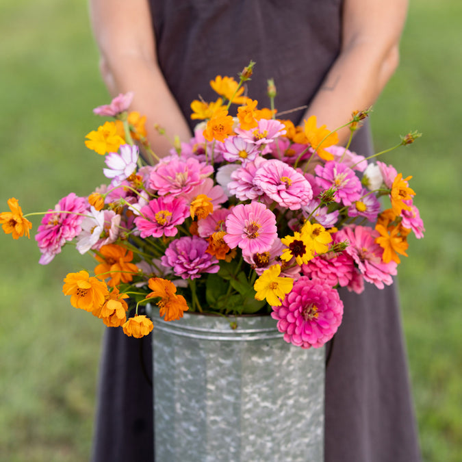 orange sherbet flower seed mix