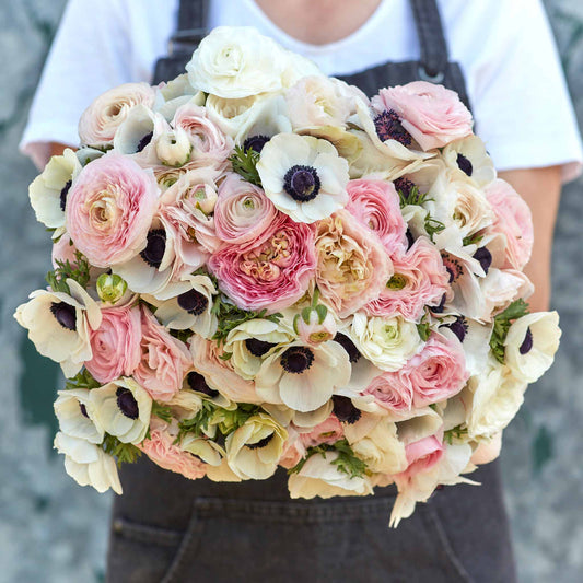 anemone ranunculus paris in spring collection