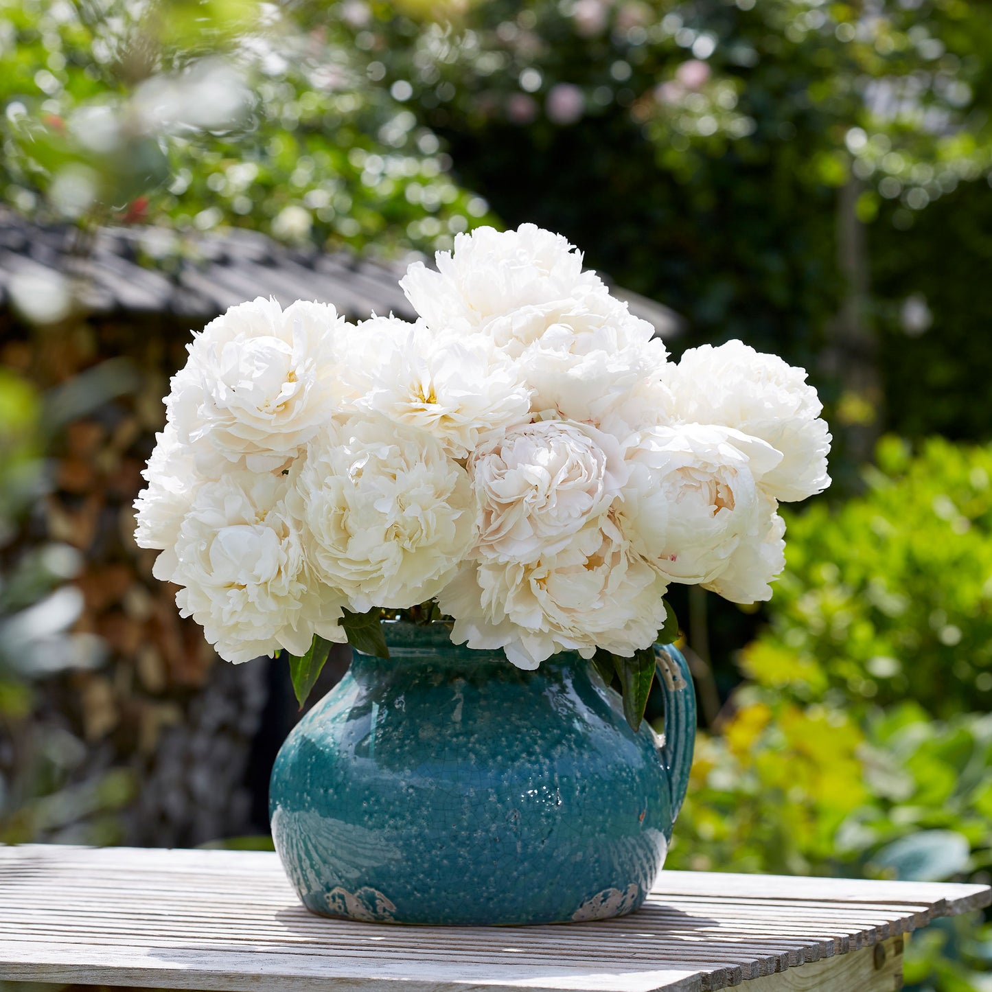 peonies bowl of cream