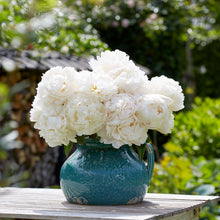 Enormous, fully double creamy-white bowl of cream peony bloom with ruffled petals and a soft yellow center.