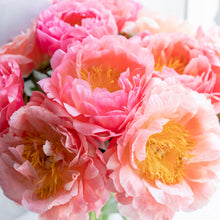 Lush bridal bouquet with soft pink, dark pink, and white double peonies with green leaves.