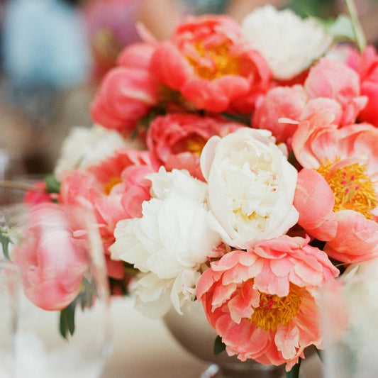 peony coral bouquet