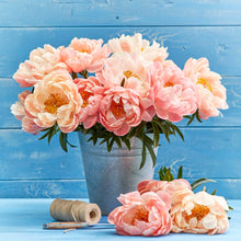 A bouquet of coral sunset peony flowers with a blue background.