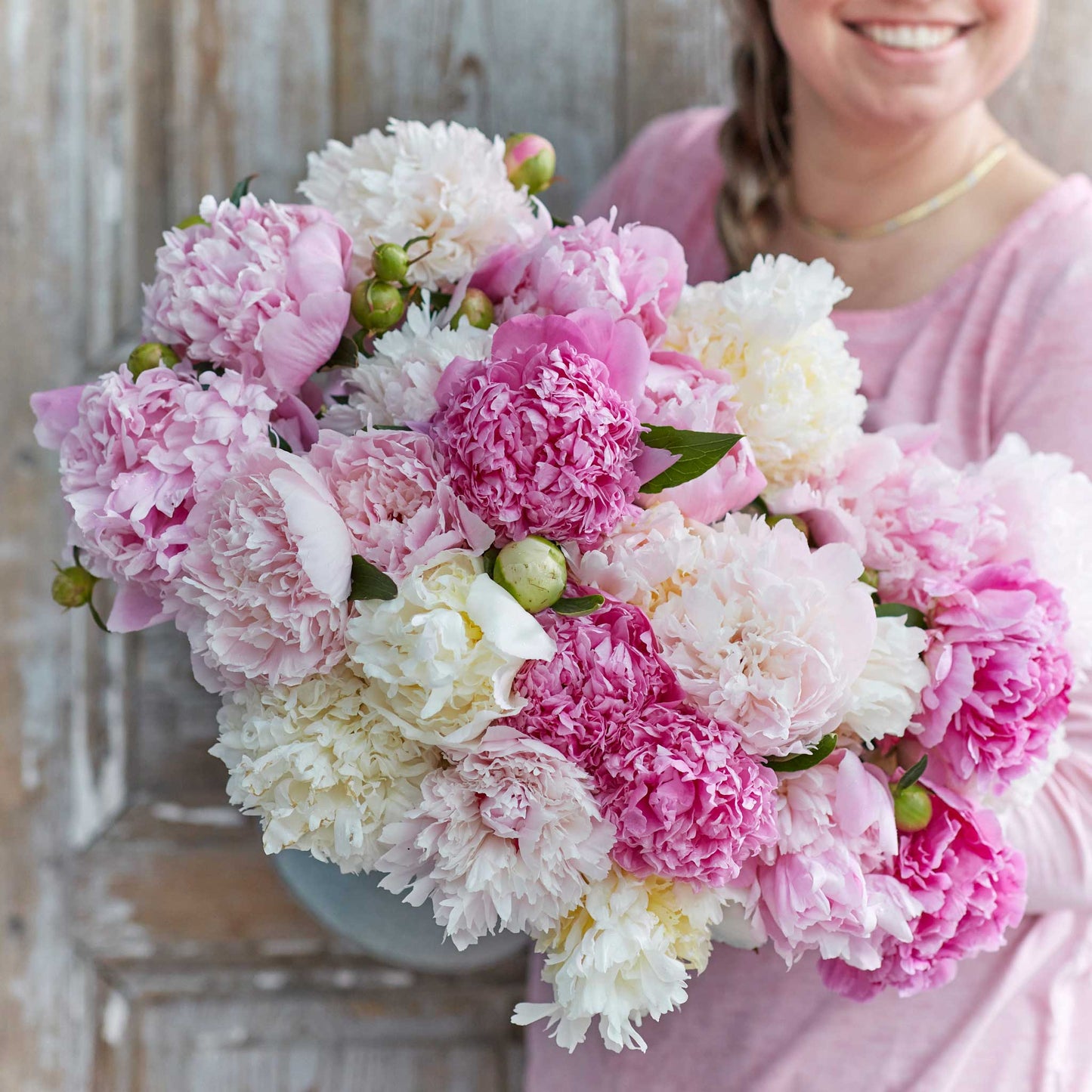 peony fluffy pink mix