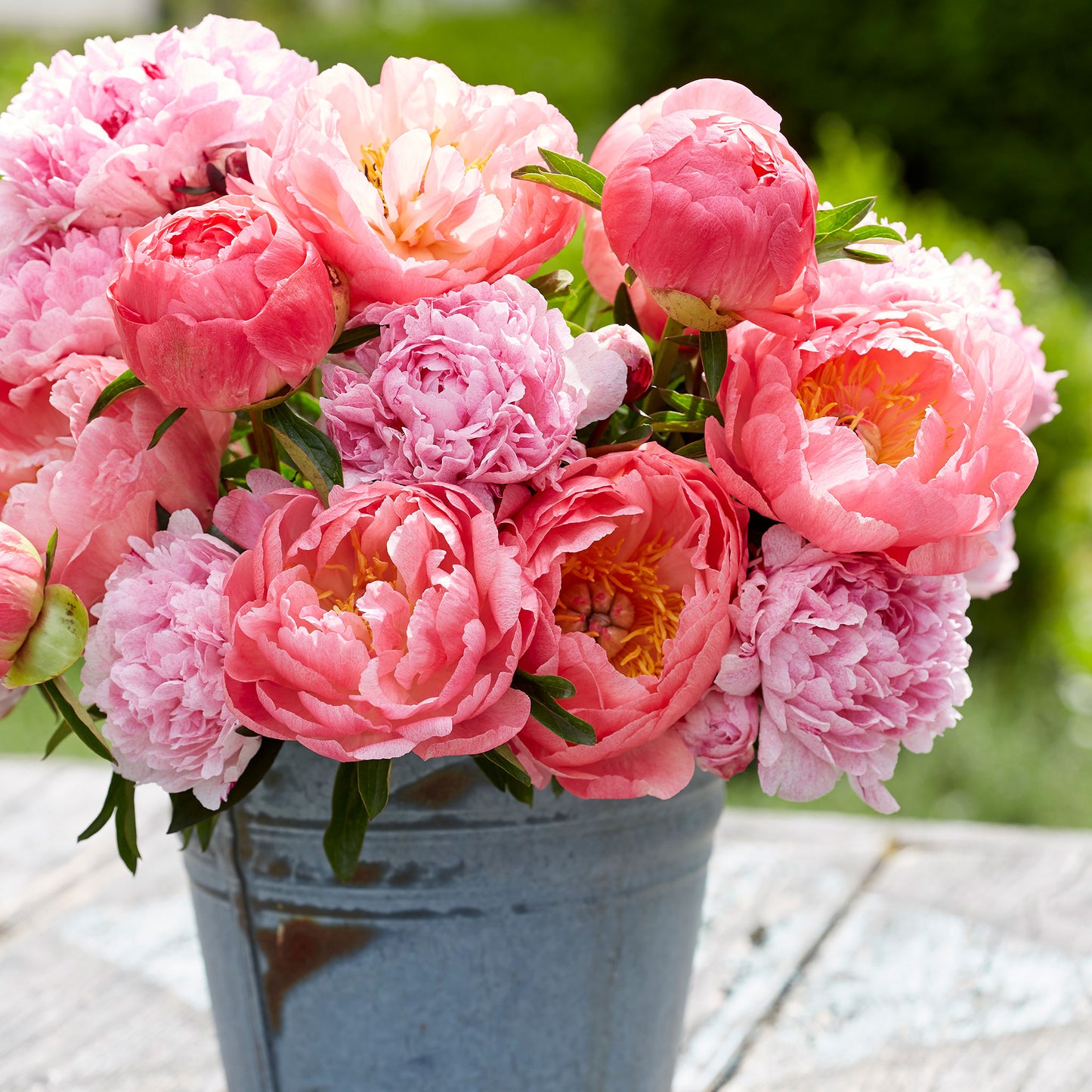 Summer Gardens Pink Real Feel Peonies & Green Swarovski Crystals