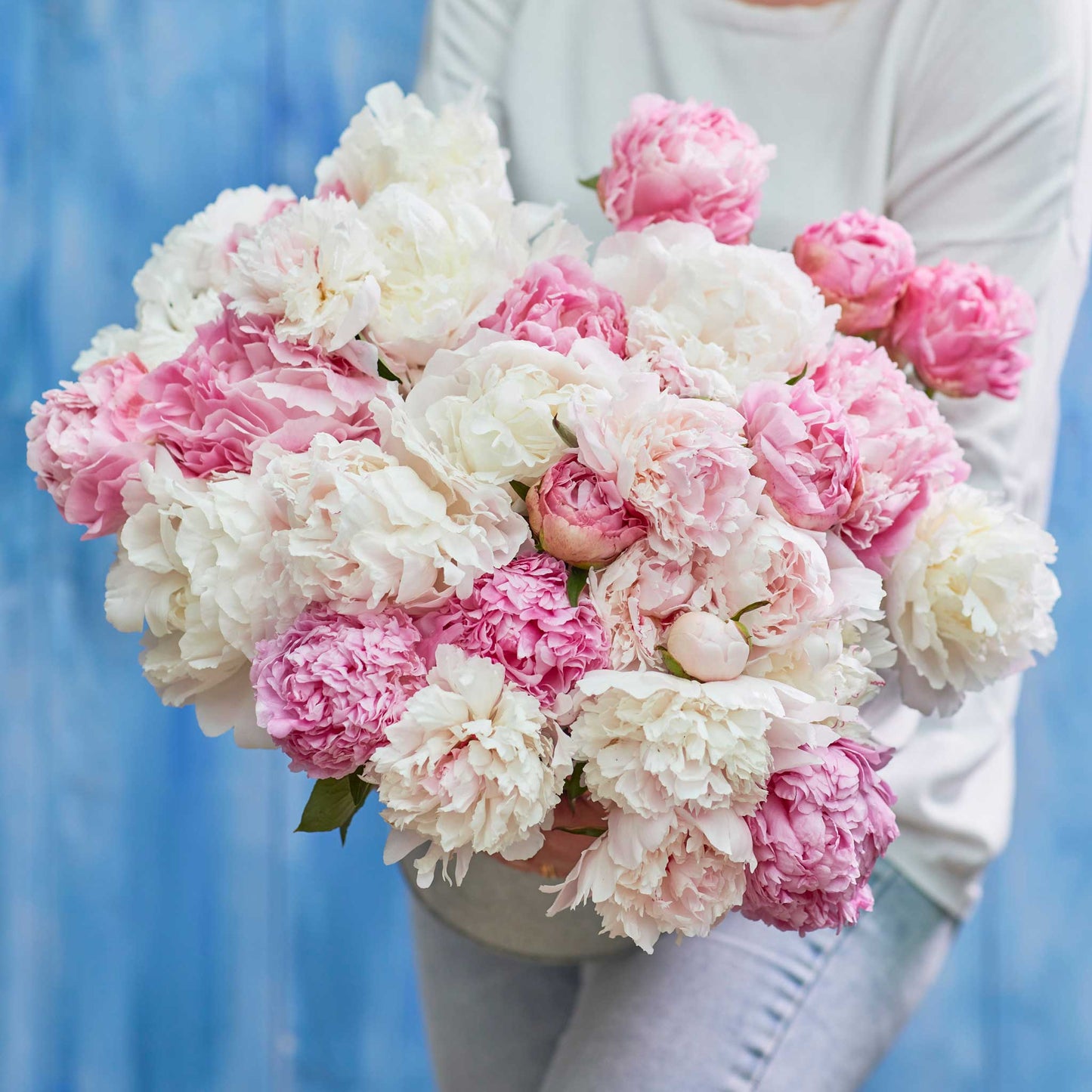 peony romantic mix