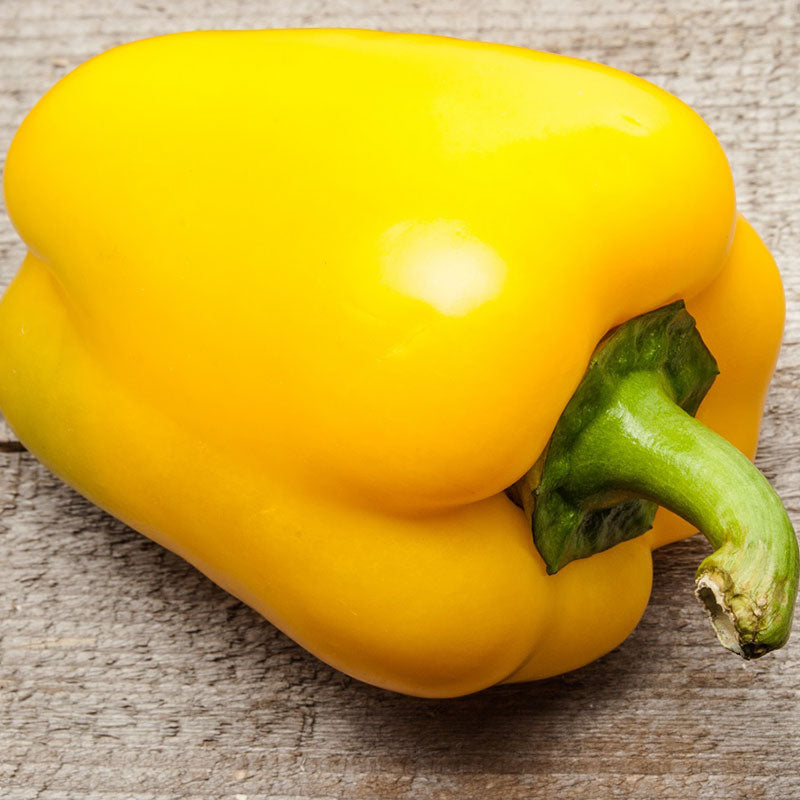 sweet pepper canary bell