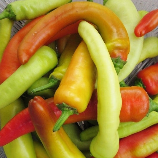 pepper hungarian hot wax