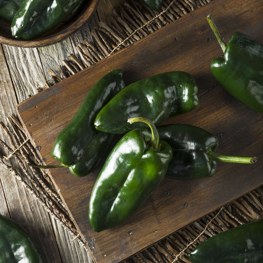 organic ancho poblano pepper 