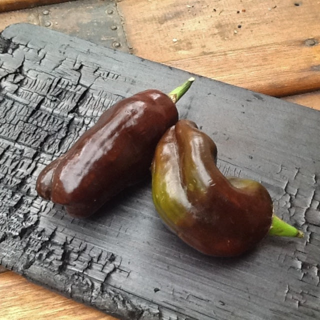 organic sweet chocolate pepper 