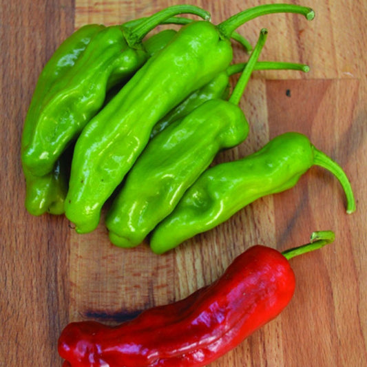 italian pepperoncini pepper 