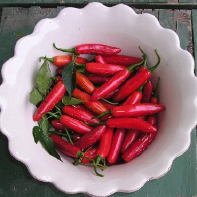 serrano tampiqueno pepper 