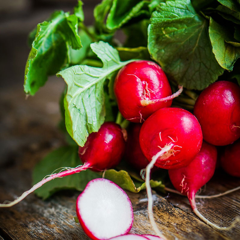 organic radish cherry belle
