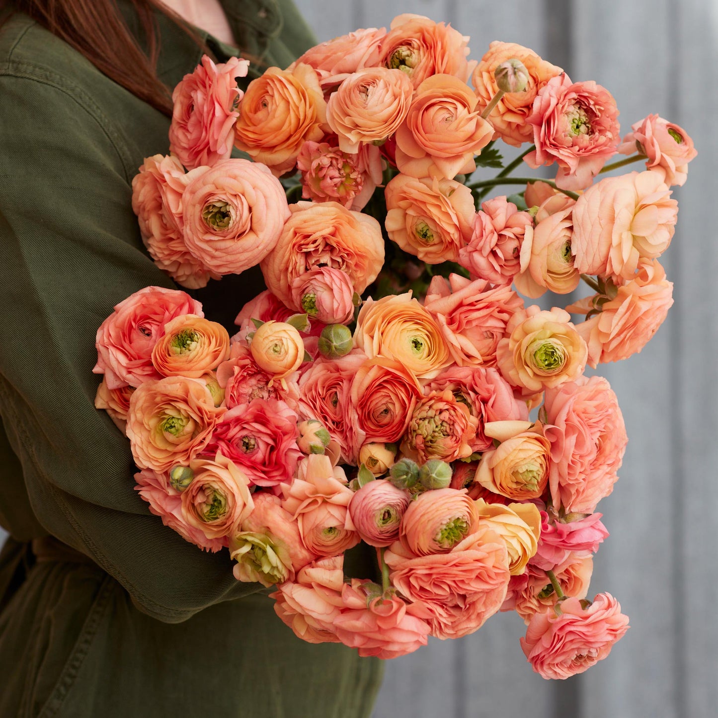 ranunculus amandine salmon