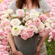 Ranunculus Bulbs - Chamallow
