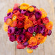 Ranunculus Bulbs - Passion Mix