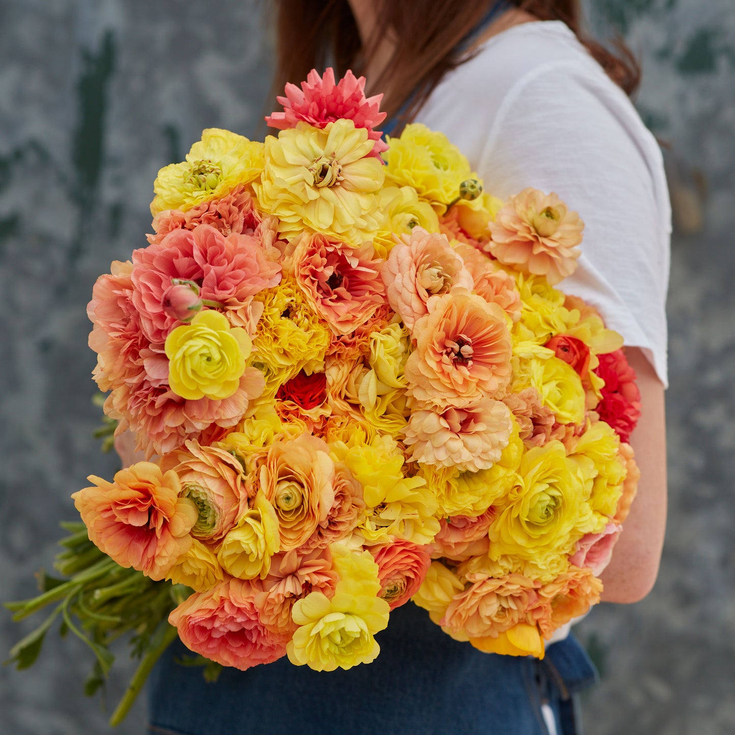 ranunculus pastel lemon