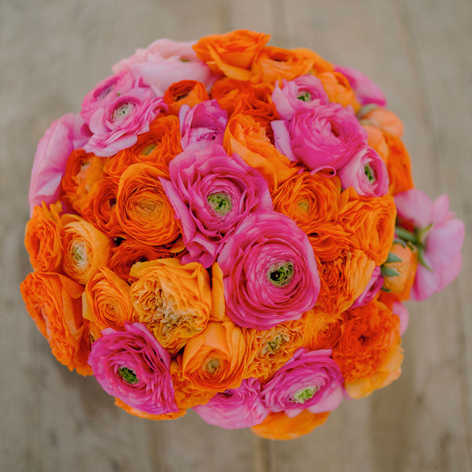 ranunculus pink clementine mix