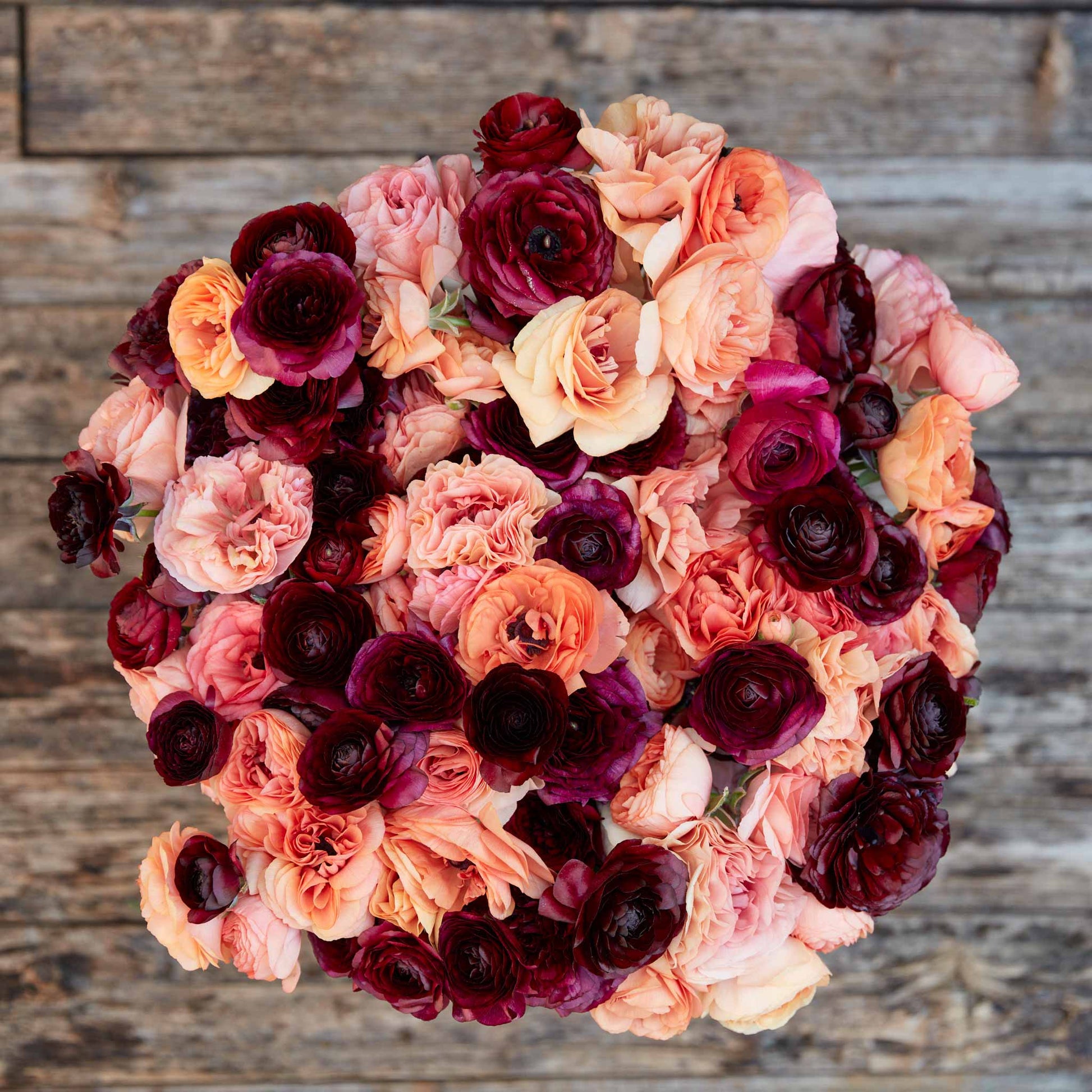 ranunculus princess bride mix