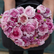 Dark purple ranunculus purple jean bouquet in a glass vase against a teal wall