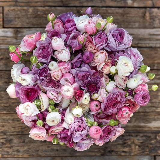 ranunculus secret garden mix